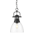 Golden Lighting Duncan 9" Wide Mini Pendant Matte Black / Clear