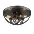 Golden Lighting-7001-FM ABZ-Additional Image