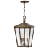 Outdoor Pendant with Canopy - BU