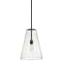 Hinkley Lighting Vance 1 Light 13" Wide Pendant with Seedy Glass Shade Satin Black