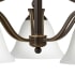 Alternate View