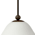 Alternate View