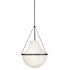 Hinkley Lighting Collins 20" Wide Pendant Black Oxide