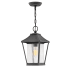 Hinkley Lighting Palmer Single Light 8" Wide Outdoor Mini Pendant with a Seedy Glass Shade Museum Black