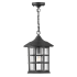 Hinkley Lighting Freeport 10" Wide Coastal Elements Outdoor Pendant with Seedy Glass Shade Textured Black