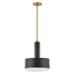 Hinkley Lighting Cedric 2 Light 13" Wide Pendant Black