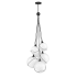 Hinkley Lighting Skye 6 Light 24" Wide Multi Light Pendant with Glass Shades Black / Cased Opal