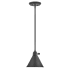 Hinkley Lighting Arti 8" Wide Mini Pendant Black