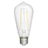 Hinkley Lighting LumiGlo Single 2 Watt Clear ST19 Vintage Edison LED Medium (E26) Base Bulb - 220 Lumens, 2400K, and 90 CRI N/A