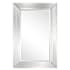 Howard Elliott Licinia 39" W x 59" H Rectangular Framed Bathroom Mirror Clear