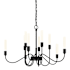 Hubbardton Forge Lisse 10 Light 29" Wide Chandelier Black