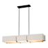 Hubbardton Forge Exos 4 Light 47" Wide Linear Chandelier Black / Flax