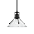Hubbardton Forge Henry 10" Wide Mini Pendant Black / Clear