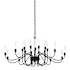 Hubbardton Forge Lisse 20 Light 44" Wide Chandelier Black