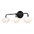 Hubbardton Forge Ume 3 Light 10" Tall Wall Sconce Black / Black