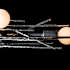 Alternate Image