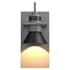 Hubbardton Forge Erlenmeyer 11" Tall Outdoor Wall Sconce Burnished Steel