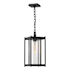 Hubbardton Forge Cela 8" Wide Outdoor Mini Pendant Coastal Black / Clear