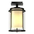 Hubbardton Forge Meridian 8" Wide Semi-Flush Outdoor Ceiling Fixture Coastal Black