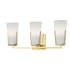 Hudson Valley Lighting Upton 3 Light 19" Wide Bathroom Vanity Light Aged Brass