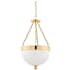 Hudson Valley Lighting Barrington 3 Light 14" Wide Pendant Aged Brass