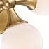 Alternate View Close Up