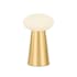Hudson Valley Lighting Cashel 10" Tall LED Accent Table Lamp with Cloud Glass Shade Aged Brass