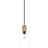Hunter Vanning 6" Wide Mini Pendant with Rope Accents Noble Bronze