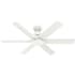 Hunter Kennicott 52" 6 Blade Indoor / Outdoor Ceiling Fan with Wall Control Fresh White