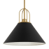 Hunter Carrington Isle 16" Wide Pendant Flat Matte Black