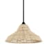 Hunter Agoura 14" Wide Pendant Natural Rattan / Matte Black