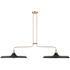 Hunter Moriso 2 Light 22" Wide Linear Chandelier Matte Black