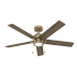 Hunter Erling 52" 5 Blade Indoor LED Ceiling Fan Burnished Brass