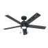 Hunter Erling 52" 5 Blade Indoor LED Ceiling Fan Matte Black