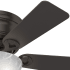 Hunter 52137 Haskell Fan Blade Finish 1