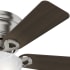 Hunter 52139 Haskell Fan Blade Finish 1