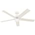 Hunter Erling 52" 5 Blade Indoor LED Energy Star Ceiling Fan Fresh White