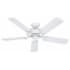Hunter 52" Energy Star Rated Indoor / Outdoor Ceiling Fan - 5 Blades Included White