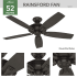 Hunter 53347 Rainsford Ceiling Fan Details