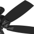 Hunter 53348 Rainsford Fan Blade Finish 2