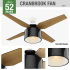 Hunter 59257 Cranbrook Ceiling Fan Details
