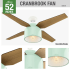 Hunter 59258 Cranbrook Ceiling Fan Details