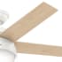 Hunter 59266 Anslee Fan Blade Finish 2