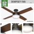 Hunter 59447 Dempsey Ceiling Fan Details