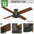 Hunter 59449 Dempsey Ceiling Fan Details
