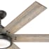 Hunter 59461 Warrant Fan Blade Finish 1