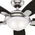 Body View