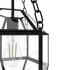 Alternate Image