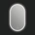 ICO Bath Iris 20" W x 36" H Modern Oval Aluminum Frameless Bathroom Wall Mirror with Light N/A