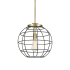 Innovations Lighting Lake Placid 16" Wide Cage Pendant with Shade Antique Brass / Matte Black
